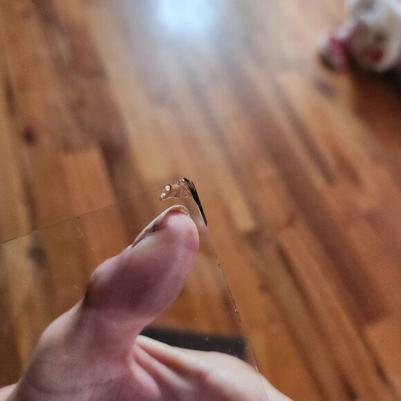 Antique Ornate Brass Oval Glass Picture Frame With Gold Matting & Fabric Backing - Picture 12 of 14